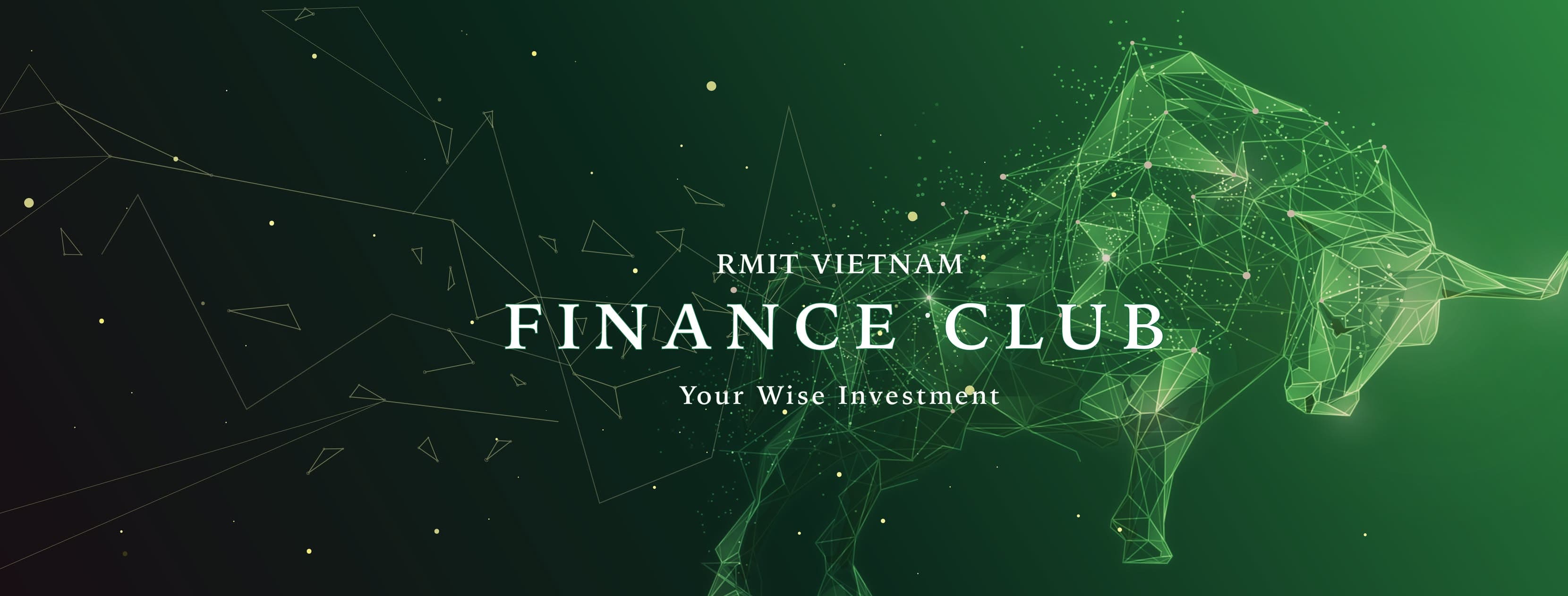 RMIT Vietnam Finance Club Banner